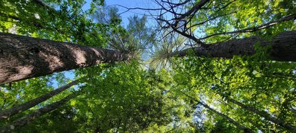 Property in Somerset County, Maine