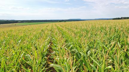 Property in Charles Mix County, South Dakota