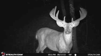 Property in Adams County, Wisconsin