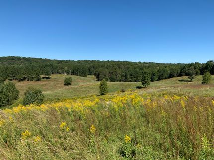 Property in Habersham County, Georgia