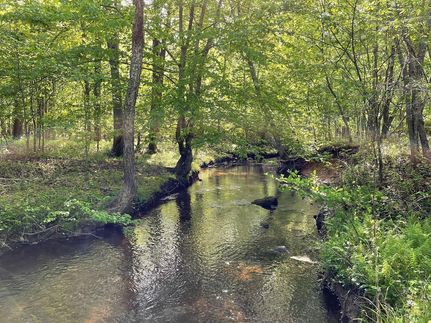 Property in Fluvanna County, Virginia