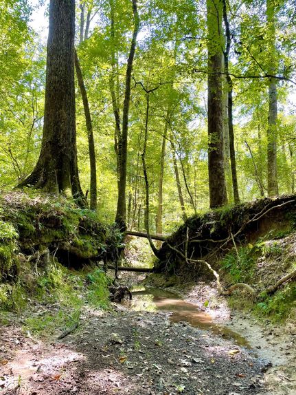 Property in Hinds County, Mississippi