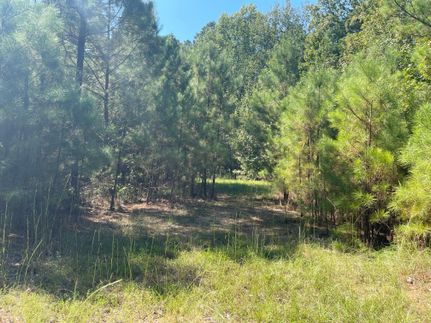 Property in Claiborne Parish, Louisiana