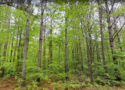 Property in Walker County, Alabama