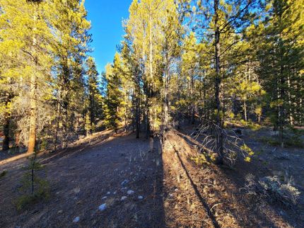 Property in Lake County, Colorado