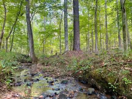 Property in Coosa County, Alabama