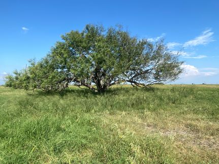 Property in Refugio County, Texas