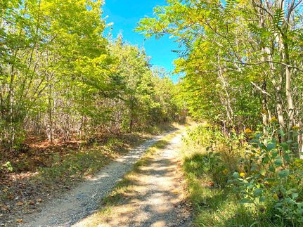 Property in Amherst County, Virginia