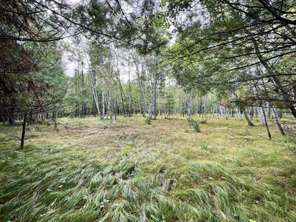 Property in Cass County, Minnesota