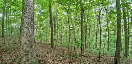 Property in Wayne County, West Virginia