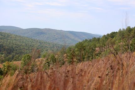 Property in Le Flore County, Oklahoma