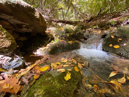 Property in Avery County, North Carolina