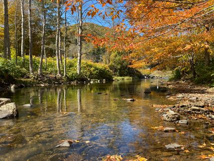 Property in Avery County, North Carolina