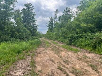 Property in Dickinson County, Michigan