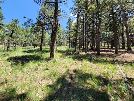Property in Las Animas County, Colorado