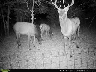 Property in Coal County, Oklahoma