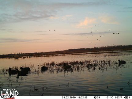 Property in Neosho County, Kansas