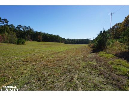 Property in Tuscaloosa County, Alabama
