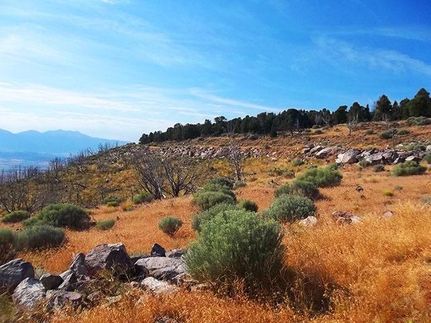 Property in Utah County, Utah