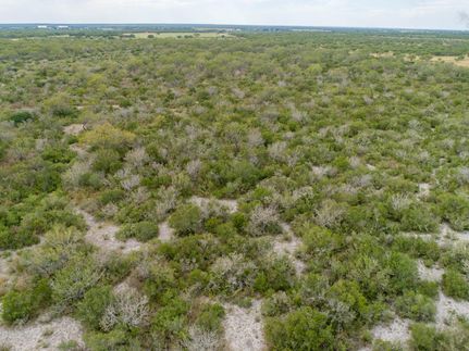 Property in Live Oak County, Texas