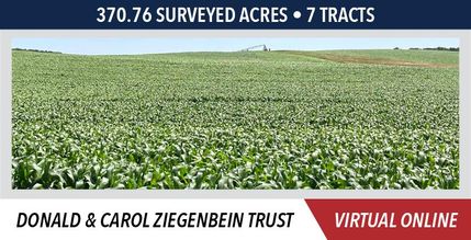 Property in Mason County, Illinois