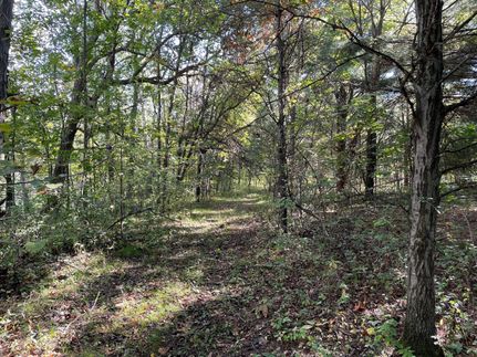 Property in Juneau County, Wisconsin