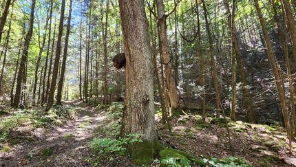 Property in Mercer County, West Virginia