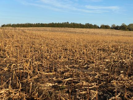 Property in Pierce County, Nebraska