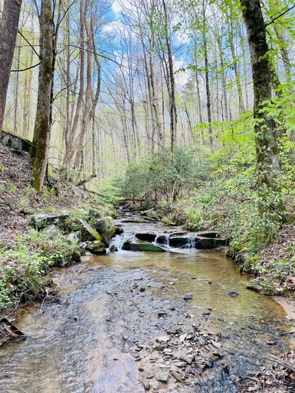 Property for sale in Gilmer County, Georgia