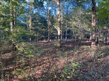 Property in Richland Parish, Louisiana