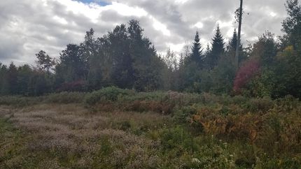 Property in Penobscot County, Maine