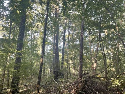 Property in Jefferson County, Alabama