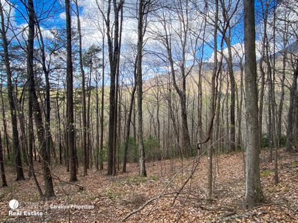 Property in Surry County, North Carolina