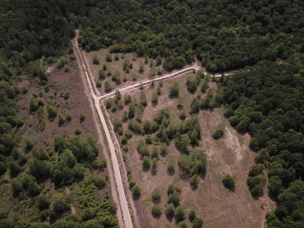 Property in Montgomery County, Mississippi