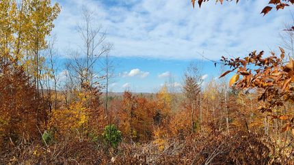 Property in Penobscot County, Maine