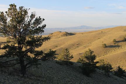 Property in Carbon County, Montana