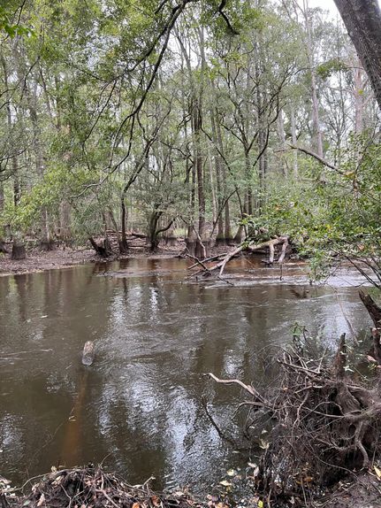 Property in Bamberg County, South Carolina