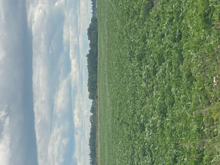 Property in Clay County, Minnesota