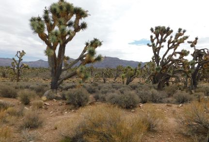 Property in Mohave County, Arizona