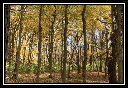 Property in Ross County, Ohio