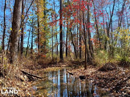Property in Dodge County, Georgia