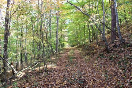 Property in Lee County, Kentucky