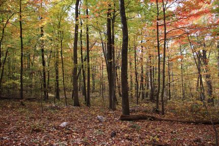 Property in Frederick County, Virginia