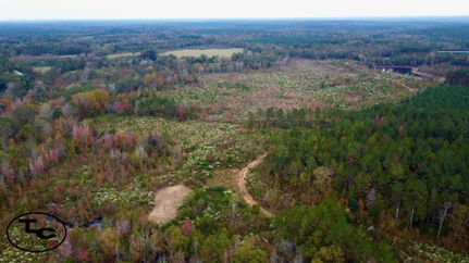 Property in Choctaw County, Alabama