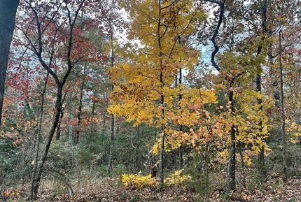 Property in Lumpkin County, Georgia