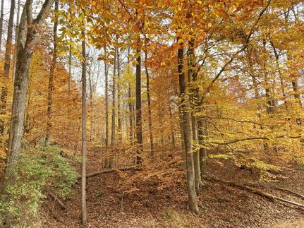 Property in Lewis County, West Virginia