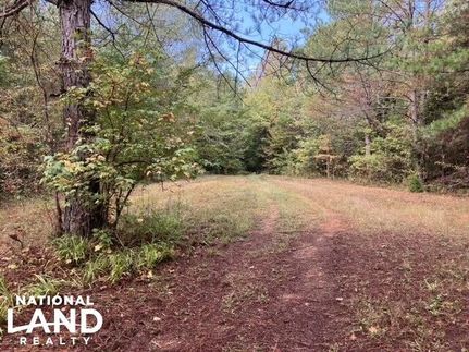 Property in Pontotoc County, Mississippi