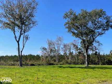 Property in Berkeley County, South Carolina