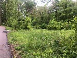 Property in Bell County, Kentucky