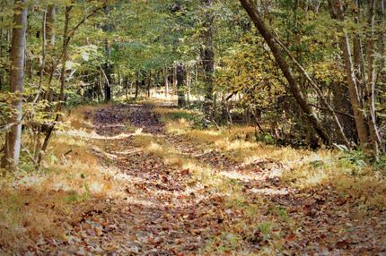 Property in Yazoo County, Mississippi